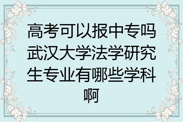 高考可以报中专吗武汉大学法学研究生专业有哪些学科啊