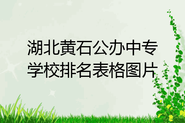 湖北黄石公办中专学校排名表格图片