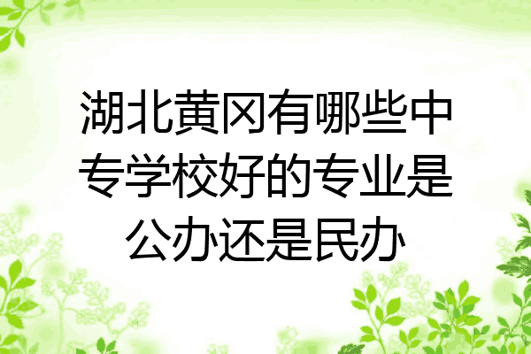 湖北黄冈有哪些中专学校好的专业是公办还是民办