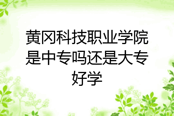 黄冈科技职业学院是中专吗还是大专好学