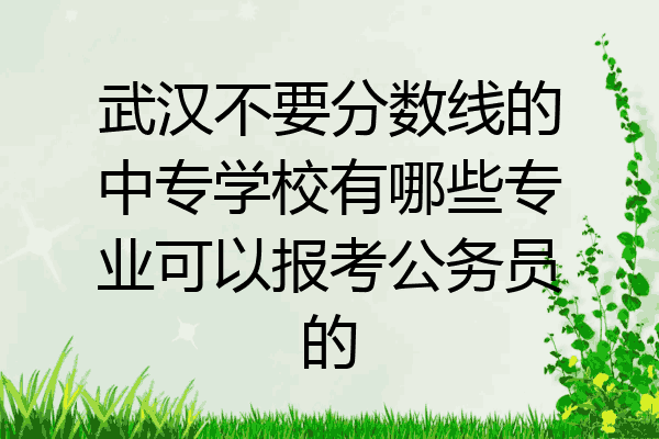 武汉不要分数线的中专学校有哪些专业可以报考公务员的