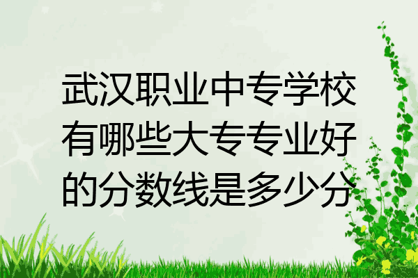 武汉职业中专学校有哪些大专专业好的分数线是多少分