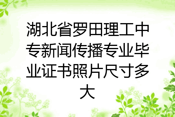 湖北省罗田理工中专新闻传播专业毕业证书照片尺寸多大