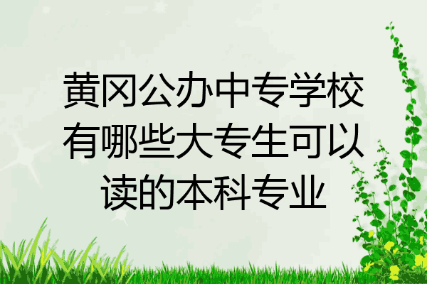 黄冈公办中专学校有哪些大专生可以读的本科专业