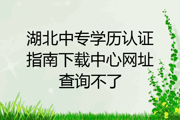 湖北中专学历认证指南下载中心网址查询不了