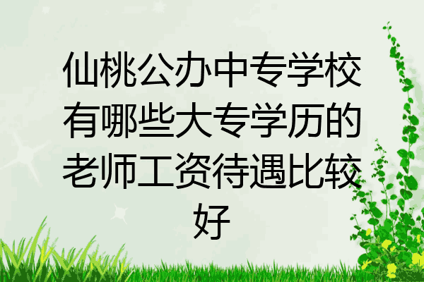 仙桃公办中专学校有哪些大专学历的老师工资待遇比较好