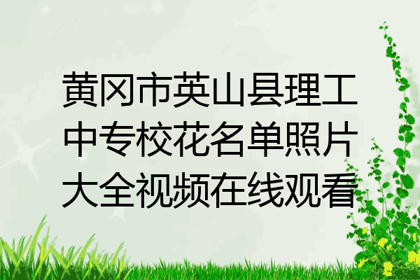 黄冈市英山县理工中专校花名单照片大全视频在线观看