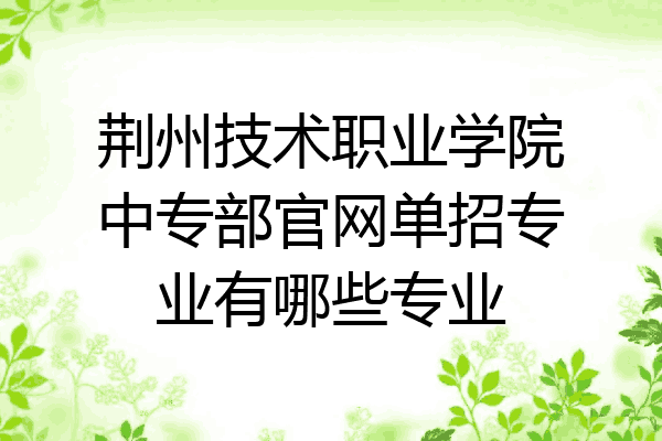 荆州技术职业学院中专部官网单招专业有哪些专业