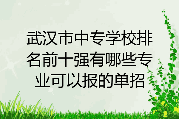 武汉市中专学校排名前十强有哪些专业可以报的单招