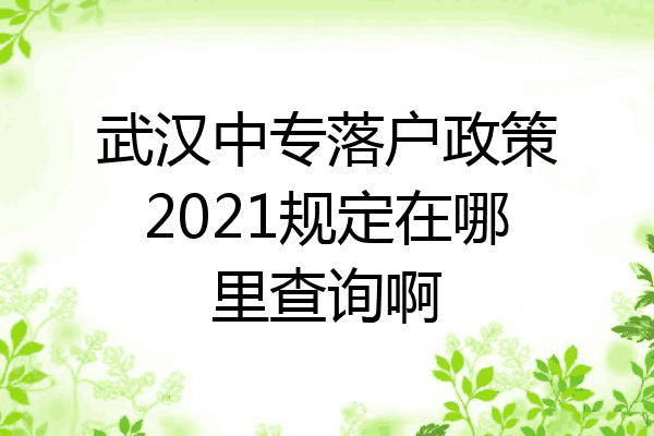 武汉中专落户政策2021规定在哪里查询啊