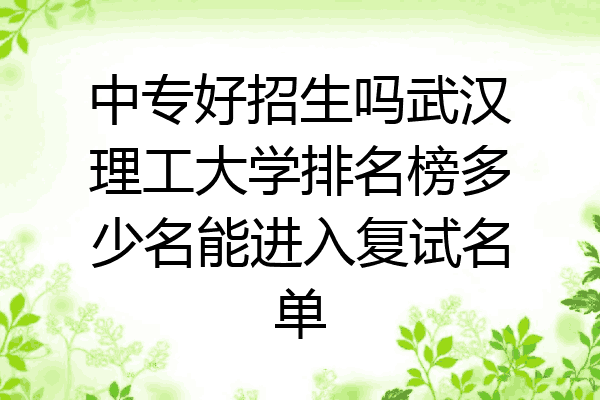 中专好招生吗武汉理工大学排名榜多少名能进入复试名单