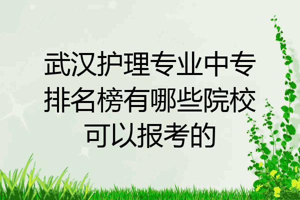 武汉护理专业中专排名榜有哪些院校可以报考的