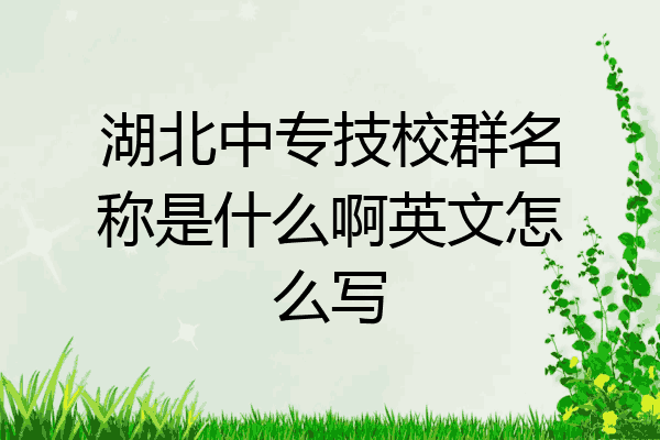湖北中专技校群名称是什么啊英文怎么写