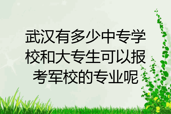 武汉有多少中专学校和大专生可以报考军校的专业呢