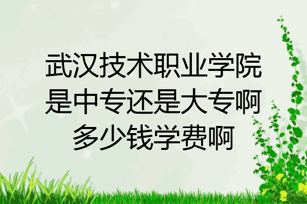 武汉技术职业学院是中专还是大专啊多少钱学费啊