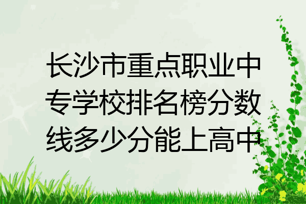 长沙市重点职业中专学校排名榜分数线多少分能上高中