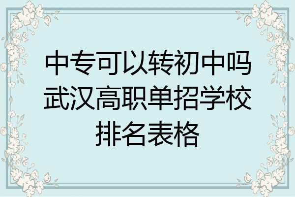 中专可以转初中吗武汉高职单招学校排名表格