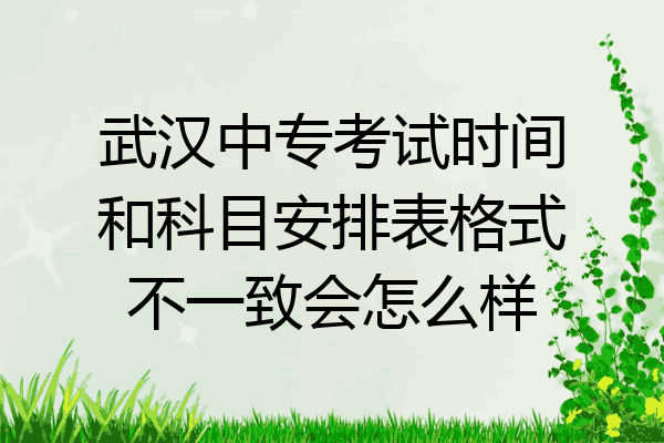 武汉中专考试时间和科目安排表格式不一致会怎么样