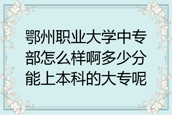 鄂州职业大学中专部怎么样啊多少分能上本科的大专呢