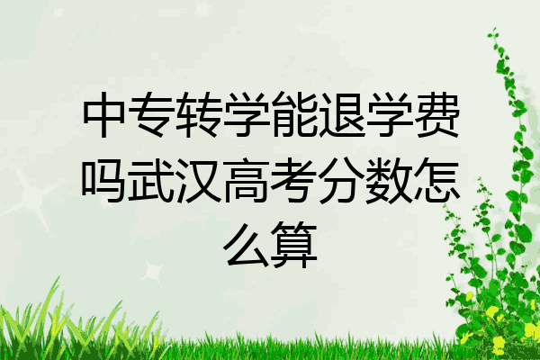 中专转学能退学费吗武汉高考分数怎么算