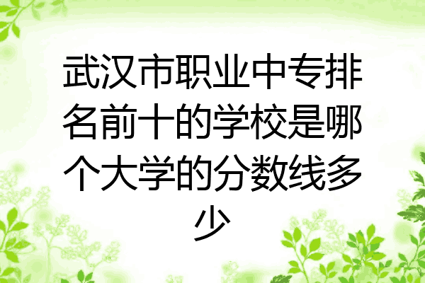 武汉市职业中专排名前十的学校是哪个大学的分数线多少
