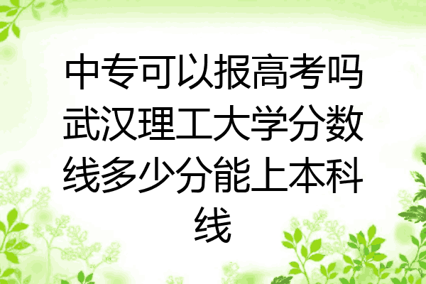 中专可以报高考吗武汉理工大学分数线多少分能上本科线