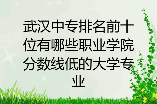 武汉中专排名前十位有哪些职业学院分数线低的大学专业