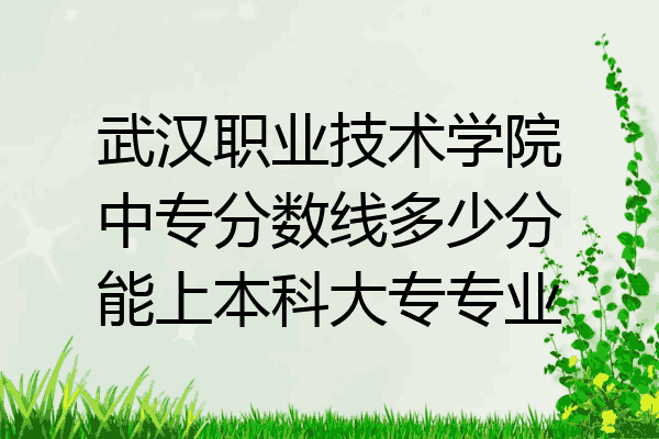 武汉职业技术学院中专分数线多少分能上本科大专专业