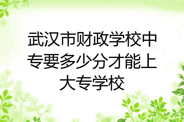 武汉市财政学校中专要多少分才能上大专学校