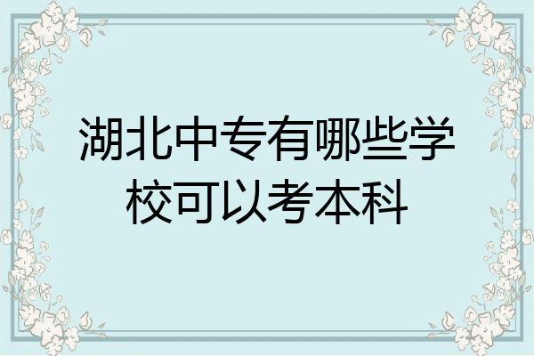 湖北中专有哪些学校可以考本科