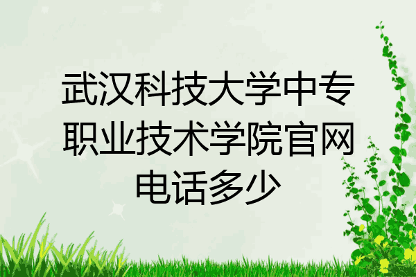 武汉科技大学中专职业技术学院官网电话多少