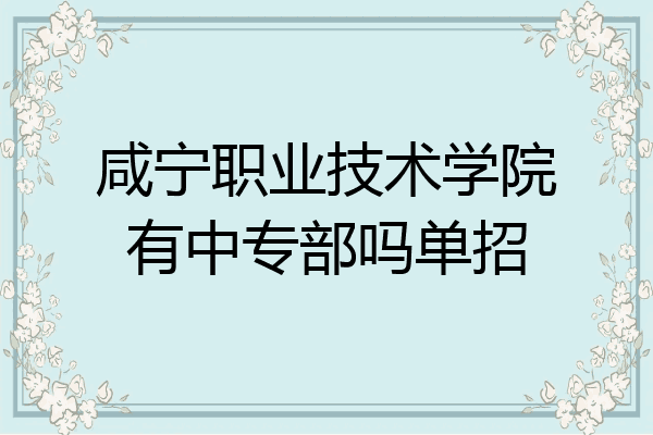 咸宁职业技术学院有中专部吗单招