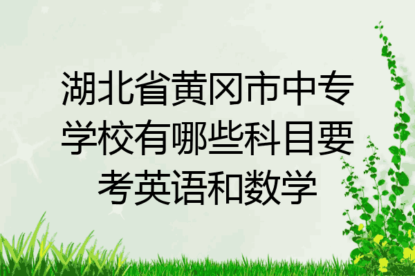 湖北省黄冈市中专学校有哪些科目要考英语和数学