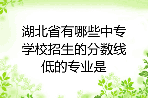 湖北省有哪些中专学校招生的分数线低的专业是