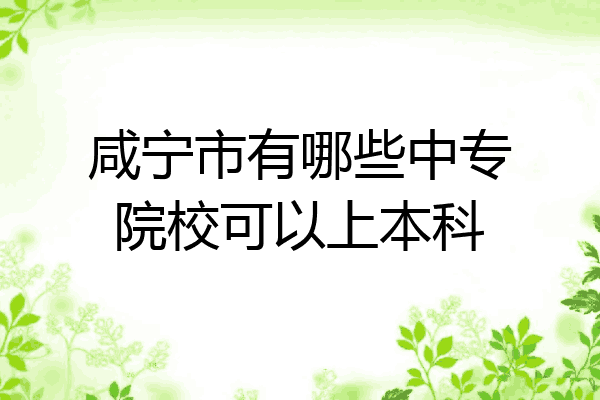 咸宁市有哪些中专院校可以上本科