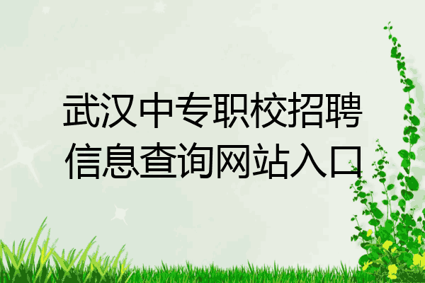 武汉中专职校招聘信息查询网站入口
