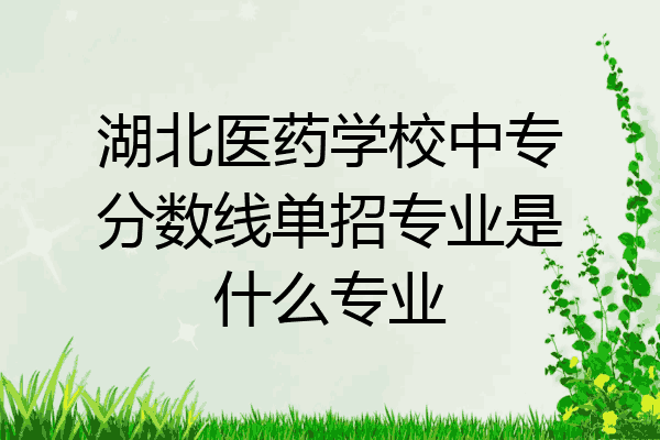 湖北医药学校中专分数线单招专业是什么专业