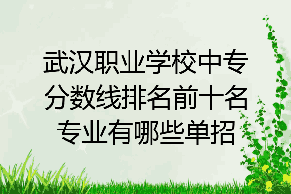 武汉职业学校中专分数线排名前十名专业有哪些单招