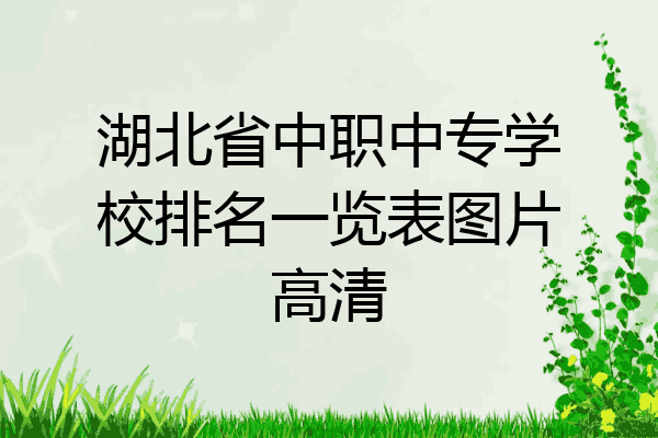 湖北省中职中专学校排名一览表图片高清