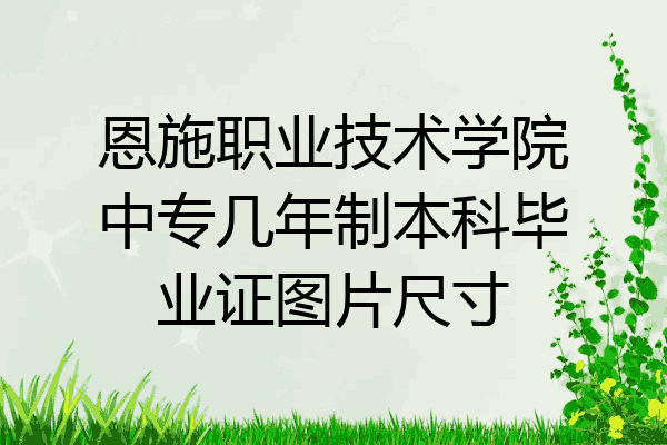 恩施职业技术学院中专几年制本科毕业证图片尺寸