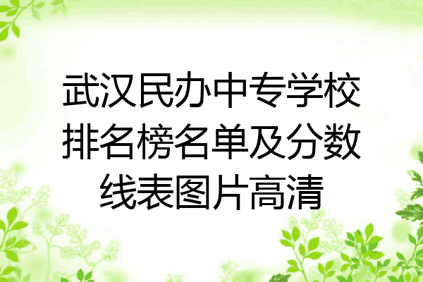 武汉民办中专学校排名榜名单及分数线表图片高清