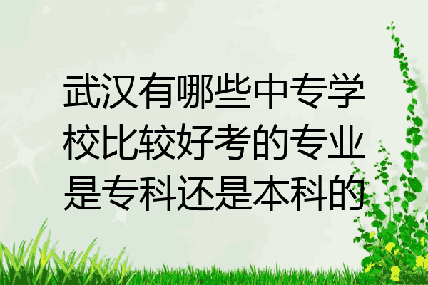 武汉有哪些中专学校比较好考的专业是专科还是本科的