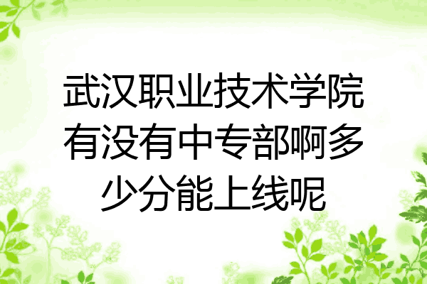 武汉职业技术学院有没有中专部啊多少分能上线呢