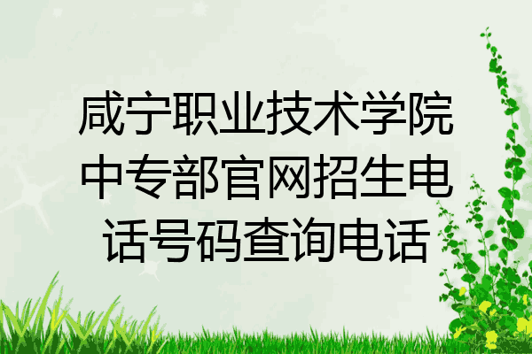 咸宁职业技术学院中专部官网招生电话号码查询电话