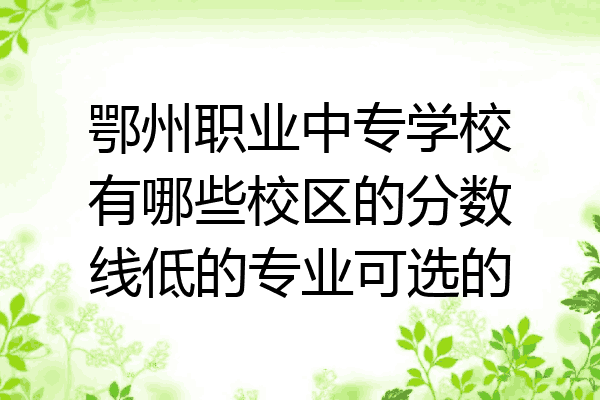 鄂州职业中专学校有哪些校区的分数线低的专业可选的