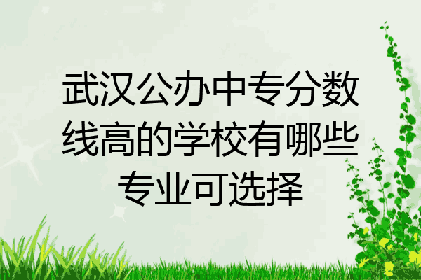 武汉公办中专分数线高的学校有哪些专业可选择