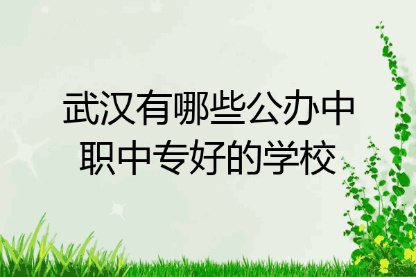 武汉有哪些公办中职中专好的学校