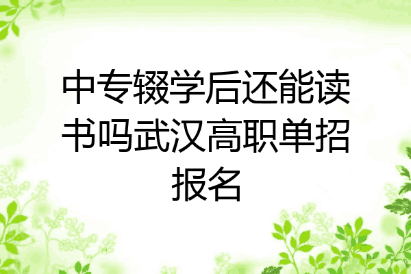中专辍学后还能读书吗武汉高职单招报名