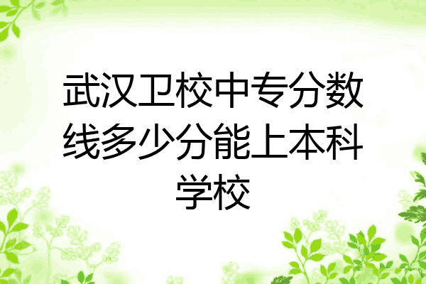 武汉卫校中专分数线多少分能上本科学校