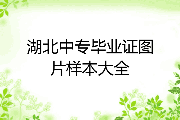 湖北中专毕业证图片样本大全